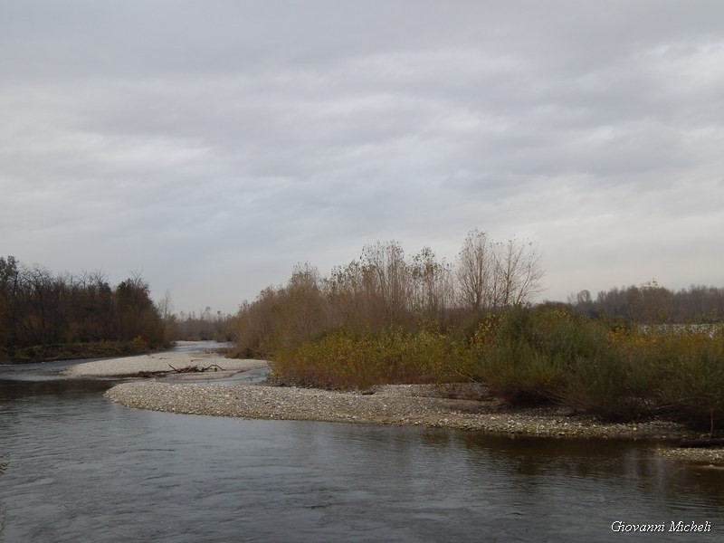 Parco del Ticino 23/11/13